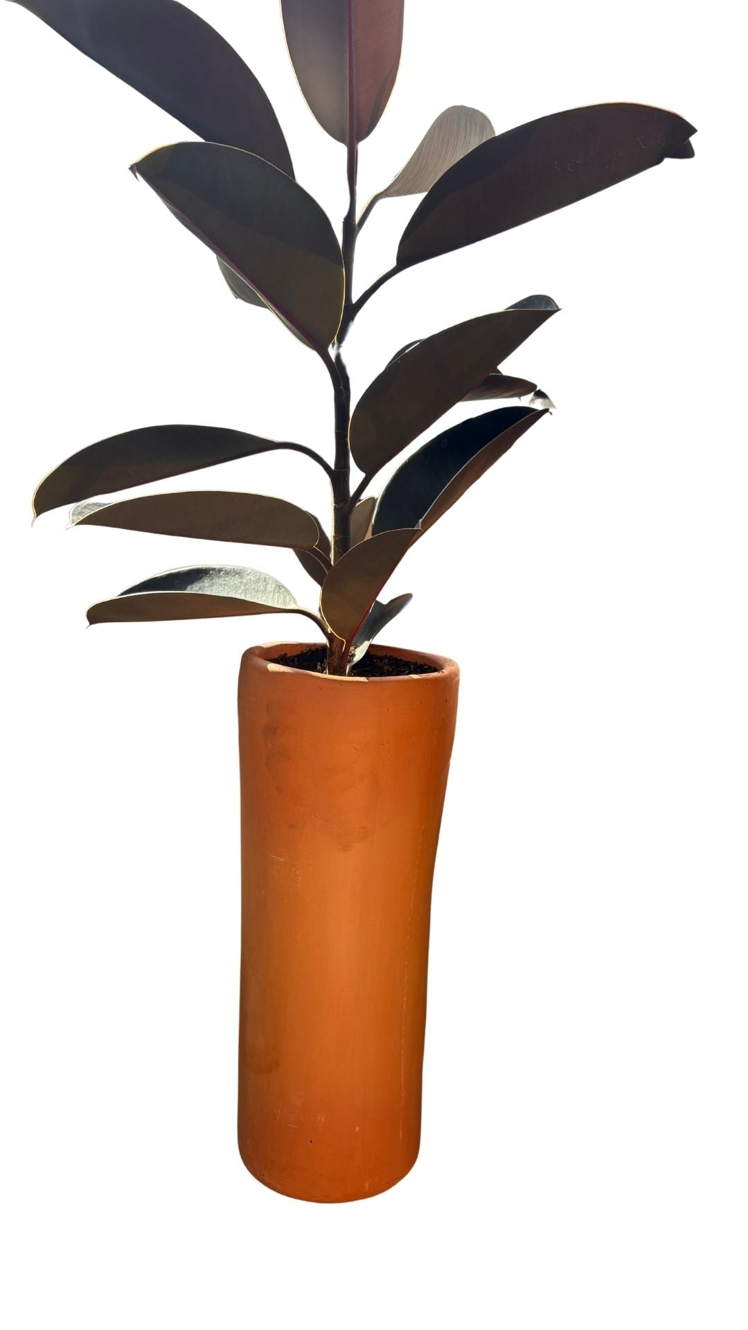 Matera Columna Mediana + Caucho Negro