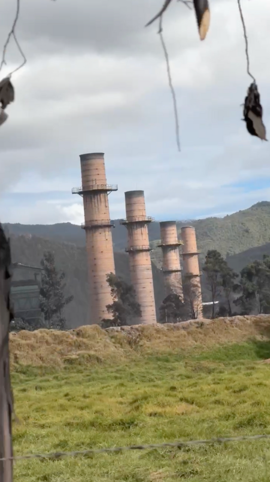 Ubaté: el pulmón verde que equilibra la huella industrial de la región