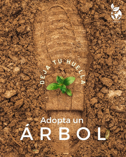 Obligación de sembrar dos árboles por empleado: lo que toda empresa debe saber sobre la Resolución 1491 de 2025