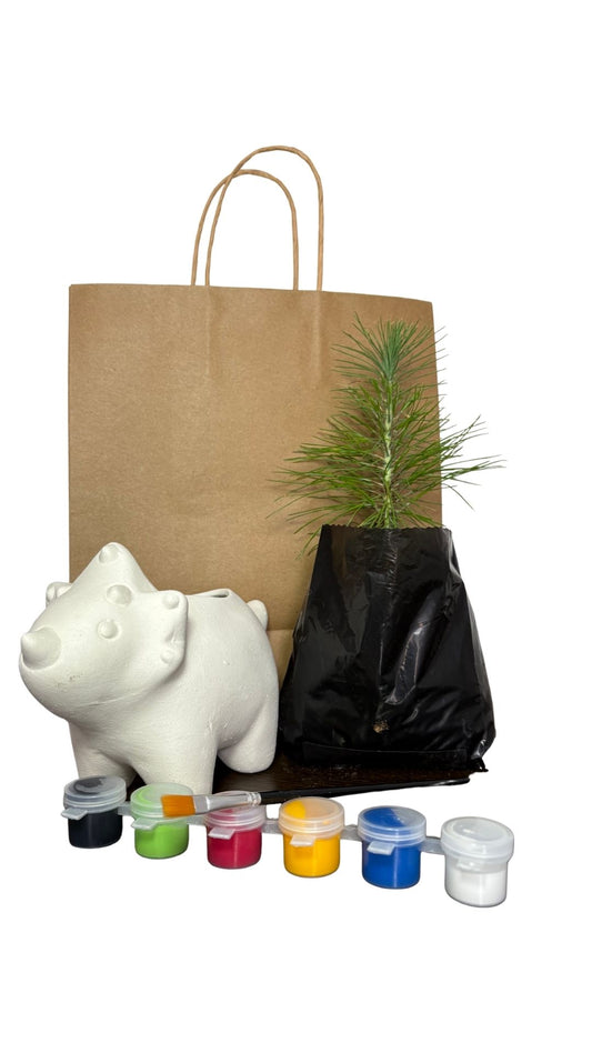 Matera animales  + Pino Cipres - Kit Niños