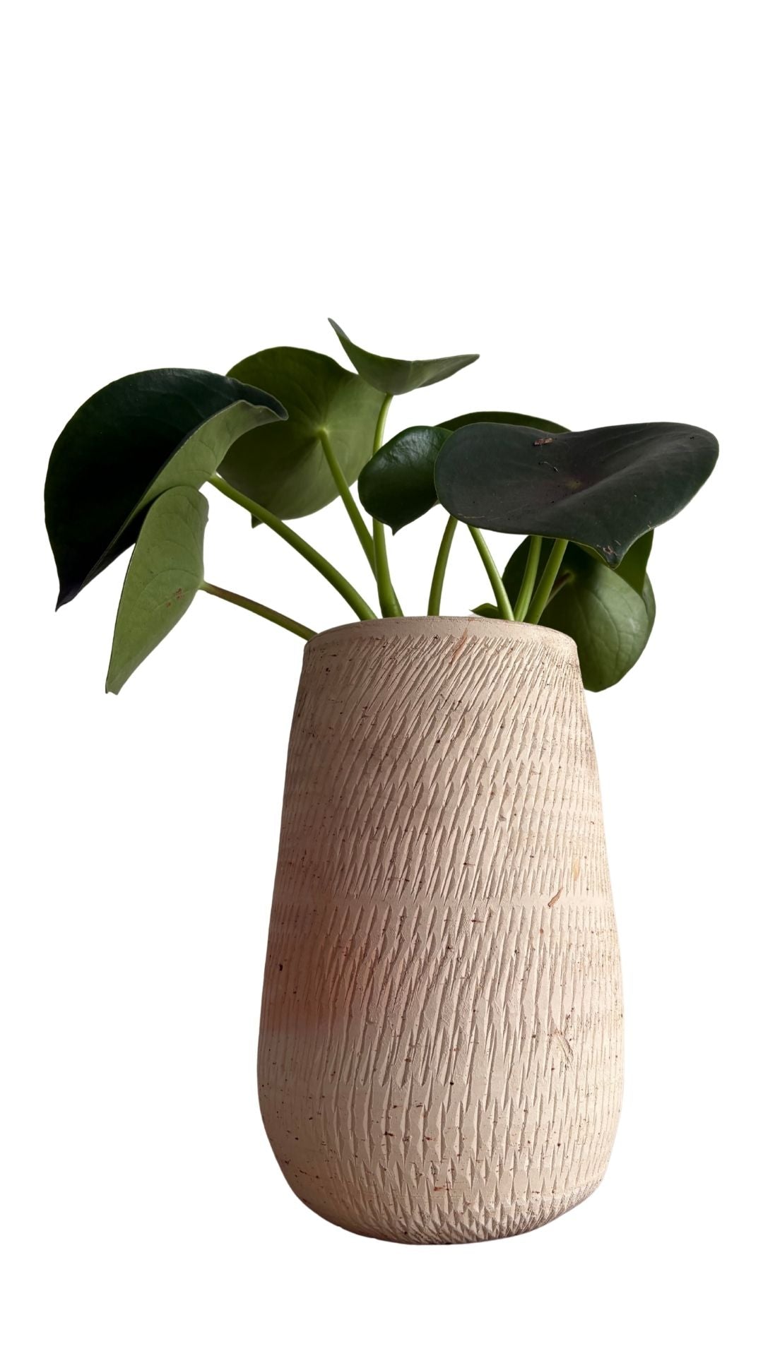 Matera Gota Larga pequeña + Cuchara