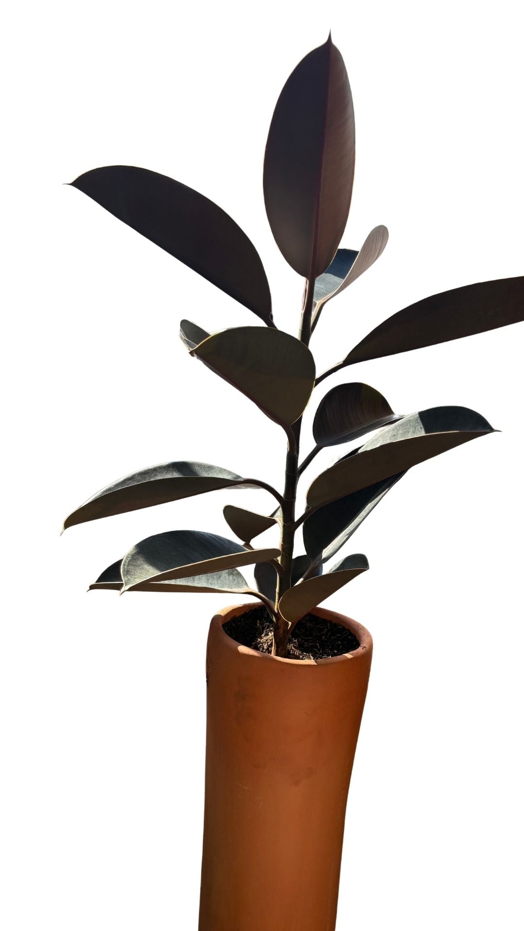 Matera Columna Mediana + Caucho Negro